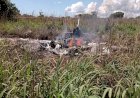 Avião com presidente e jogadores do Palmas Futebol e Regatas cai logo após decolar; 6 pessoas morreram