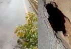 Buraco se abre na cabeceira de ponte na GO-427 entre Jaraguá e Itaguaru