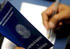 Programa oferece três mil vagas de emprego em Goiás; confira