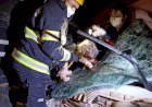 Em Goiás: Bombeiros resgatem três pessoas e um cão de acidente entre dois caminhões