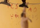 Homem é preso suspeito de pular muro da vizinha, matar cachorros dela e escrever com sangue dos animais: 'Vocês são os próximos'