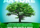 21 de setembro, é o Dia da Árvore e a Prefeitura de Ceres irá promover uma ação voltada a conscientização sobre a importância das árvores para a sociedade