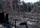 Crise climática e desmatamento da Amazônia podem deixar 11 milhões de brasileiros sob calor intenso