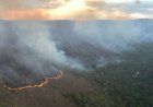 Uma só pessoa foi responsável por metade da área destruída por incêndio na Chapada dos Veadeiros