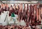 Preço da carne bovina cai, mas diferença não chega ao consumidor