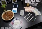 Em Goiás: Polícia Civil faz buscas e encontra drogas em distribuidora