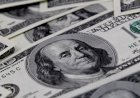 Dólar vai subir ou cair em 2022? Até quanto chega? Especialistas comentam