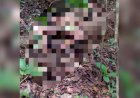 Corpo em estado de decomposição é encontrado em Jaraguá
