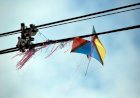 Em Goiás: Pipas deixaram mais de 90 mil goianos sem energia elétrica em 2021, diz Enel