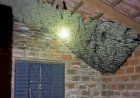 Em Goiás: Casa é invadida por enxame gigante de marimbondos