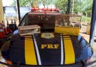 PRF apreende pássaros transportados em gaiolas sem autorização na BR 153, em Uruaçu