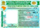 Nova CNH: veja como emitir o documento físico e digital em Goiás