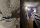 Em Goiás: Jovem morre soterrado em silo de soja enquanto trabalhava em fazenda