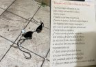 Polícia descobre casa de prostituição suspeita de explorar adolescentes e com 'regras rígidas'