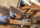 Em Goiás: Homem morre esmagado por ponto de ônibus