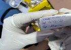 Em Goiás: Comunidade terapêutica clandestina é fechada após manter pacientes presos dentro de celas, diz delegado