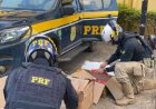 Motorista de aplicativo e passageiros são presos com droga, em Goiânia