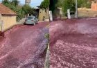 'Rio de vinho tinto' inunda ruas de Portugal após destilaria se romper