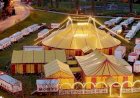 Dia do Circo: conheça a história da arte circense no Brasil e no mundo