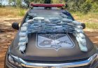 Goiás: PM apreende cargas de ''super maconha'' avaliadas em quase R$ 1 milhão