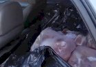 Em Goiás: PRF apreende meia tonelada de carne transportada
