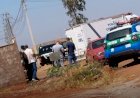 Corpos de jovens são encontrados com sinais de facadas em Goianésia