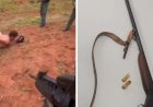 Em Goiás: Homem é preso por matar o próprio pai com tiro de espingarda
