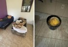 Funcionários saíam para beber e abandonavam idosos em clínica de Anápolis, diz delegado