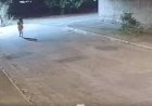 Casal com criança é flagrado ateando fogo em vegetação em Goiânia