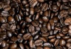 Possível recorde para safra de café do Brasil em 2026 anima setor para repor estoques