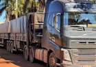 Caminhoneiro é preso com 2,5 toneladas de agrotóxicos contrabandeados em Goiás