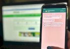 Goiás libera renovação da CNH e solicitação de identidade pelo WhatsApp ainda em junho
