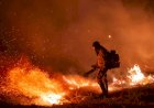 Risco de incêndios faz Estado de Goiás decretar emergência ambiental por 120 dias