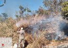 Rompimento de fio de energia causa incêndio e quase atinge condomínio em Goianésia