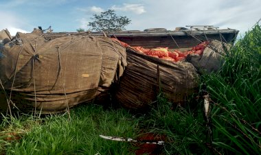 Acidente na BR-153 entre caminhões deixa dois feridos, em Rialma - Goiás