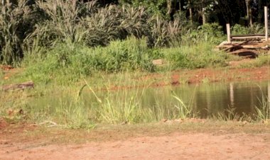 Idoso morre após se jogar em açude para tentar se proteger de ataque de abelhas