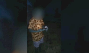 Em Goiás: Criança é deixada sozinha em casa por horas, diz Conselho Tutelar