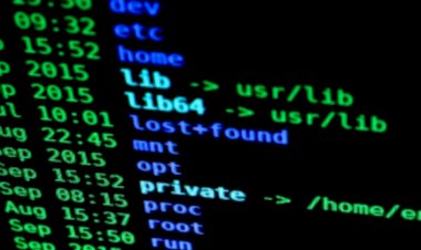 PF prende hacker suspeito de vazar dados de 223 milhões de brasileiros
