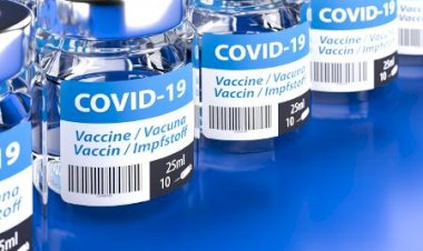Pandemia só acabará com acesso de vacinas para todos, dizem especialistas