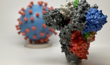 Covid não é doença respiratória, mas vascular, concluem cientistas