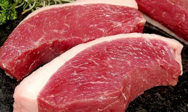 Deputados solicitam investigação em compra de picanha e sorvete pela União