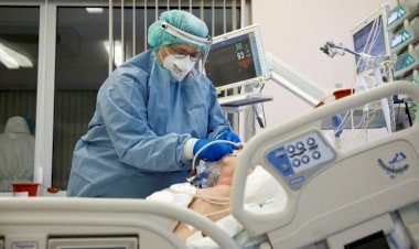 Relatório questiona 60 por cento das mortes por covid-19 em 2020