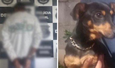 Em Goiás: Homem flagrado em vídeo praticando zoofilia com cadelas é preso