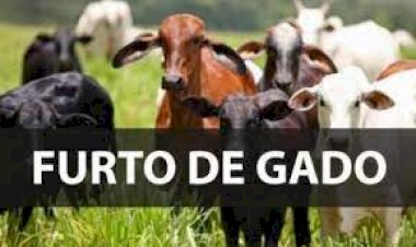 Polícia recupera em Crixás, 29 cabeças de gado furtadas na zona rural de Itapaci