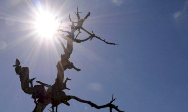 Meteorologia emite alerta de perigo para baixa umidade em Goiás