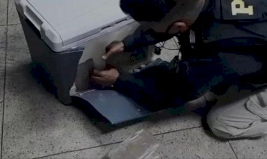 Em Goiás: Jovem é presa com seis quilos de pasta base de cocaína em ônibus
