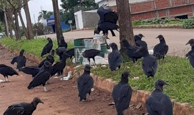 Rubiataba saiu na frente de todas as cidades de Goiás na cobrança de taxa de lixo