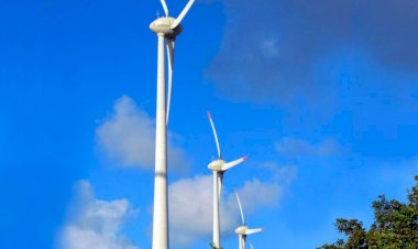 Brasil bateu 10 recordes em produção de energia renovável, em julho