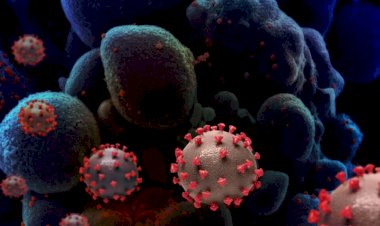 Goiás investiga grau de perigo da Gamma-Plus, nova versão de variante da Covid-19
