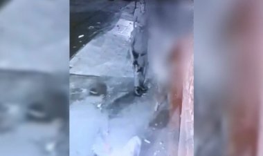 Em Goiás: PM atira e mata cadela durante abordagem